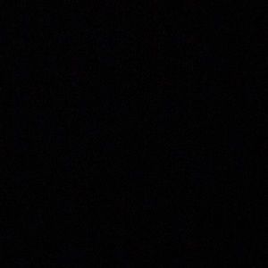 Meet your Posher, Trevor